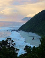 Kahurangi National Park New Zealand 52